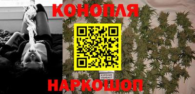 крисы Бузулук