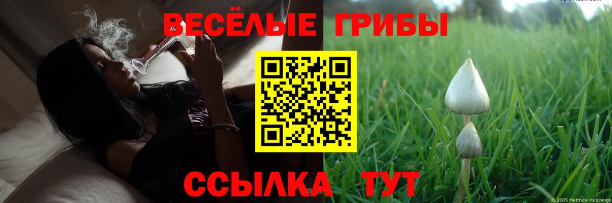 Псилоцибиновые грибы MAGIC MUSHROOMS Минеральные Воды